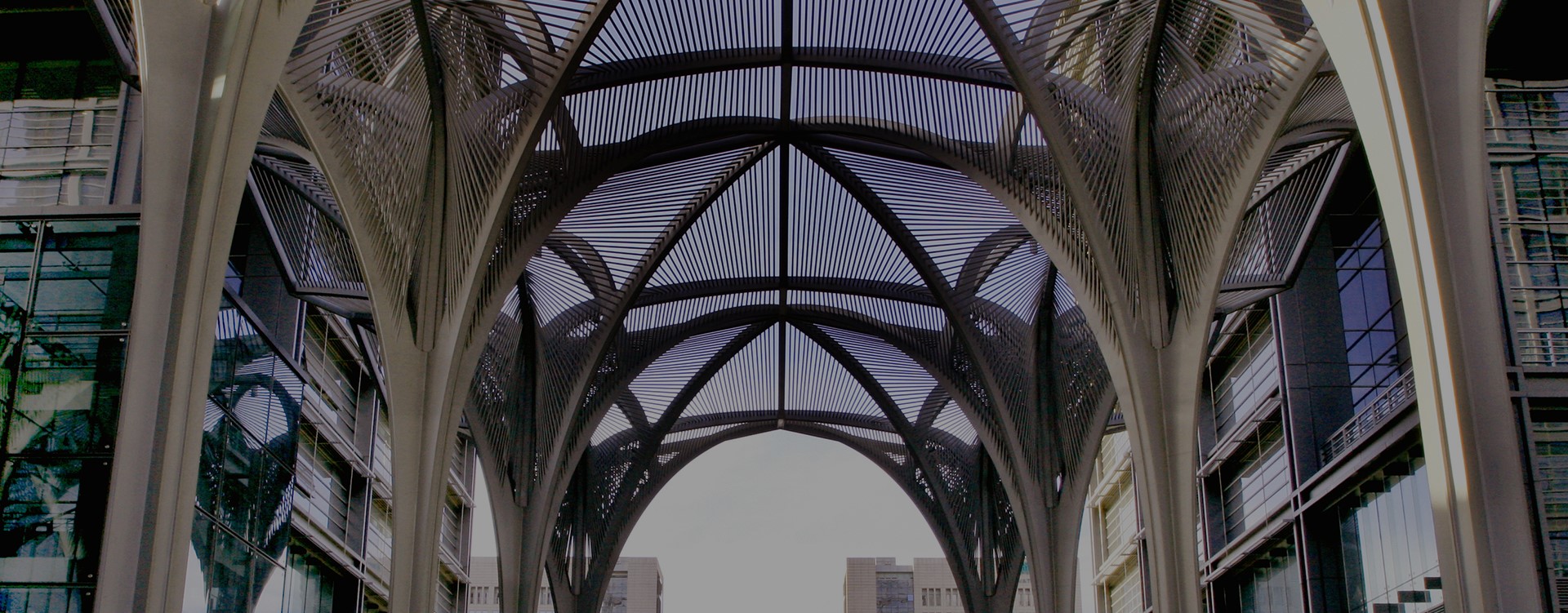 z6com��(�й���)���޹�˾����