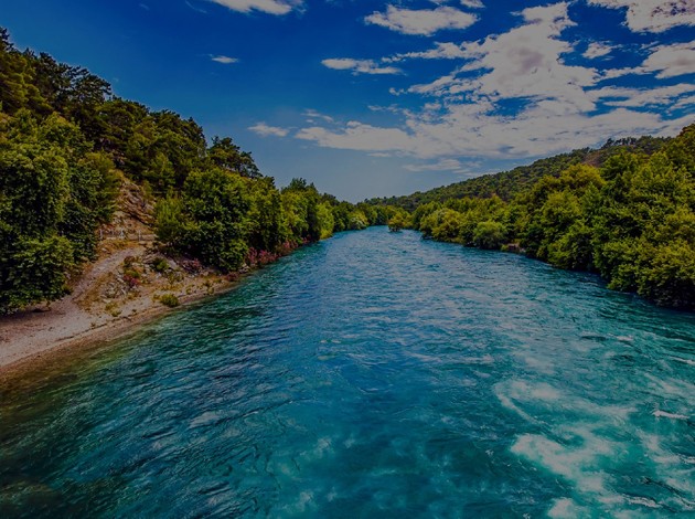 z6com��(�й���)���޹�˾����