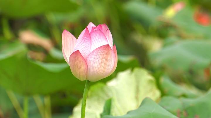 z6com��(�й���)���޹�˾����