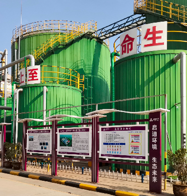 z6com��(�й���)���޹�˾����