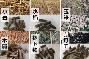 z6com��(�й���)���޹�˾����