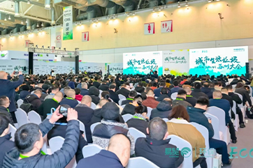 z6com��(�й���)���޹�˾����