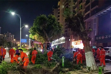 z6com��(�й���)���޹�˾����